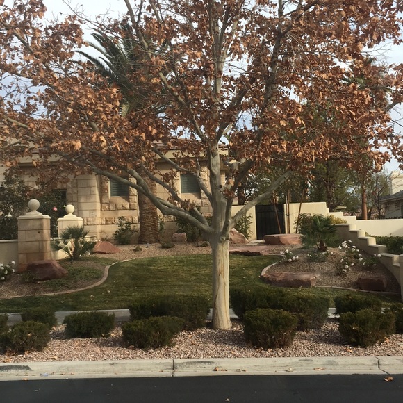 Meet your Posher, Ivo - Picture 1 of 1